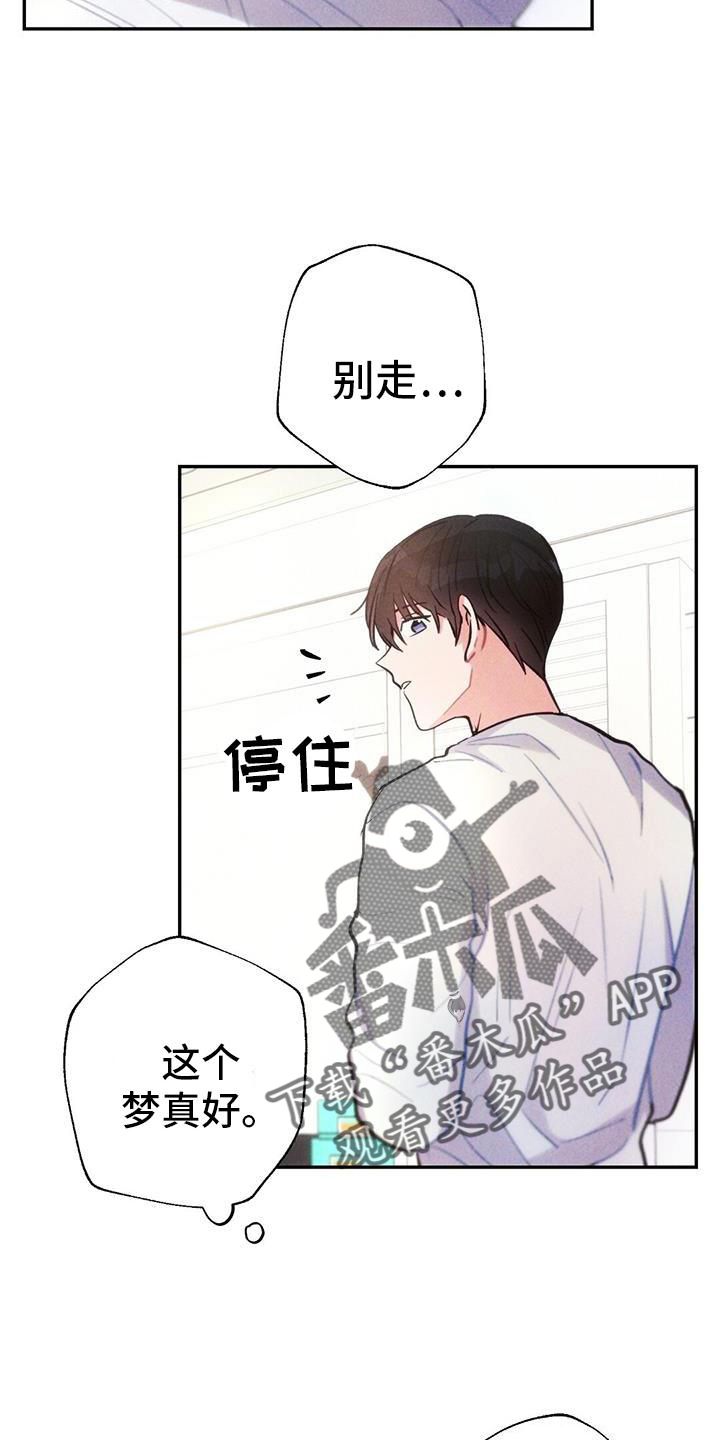 第133章：幻觉12