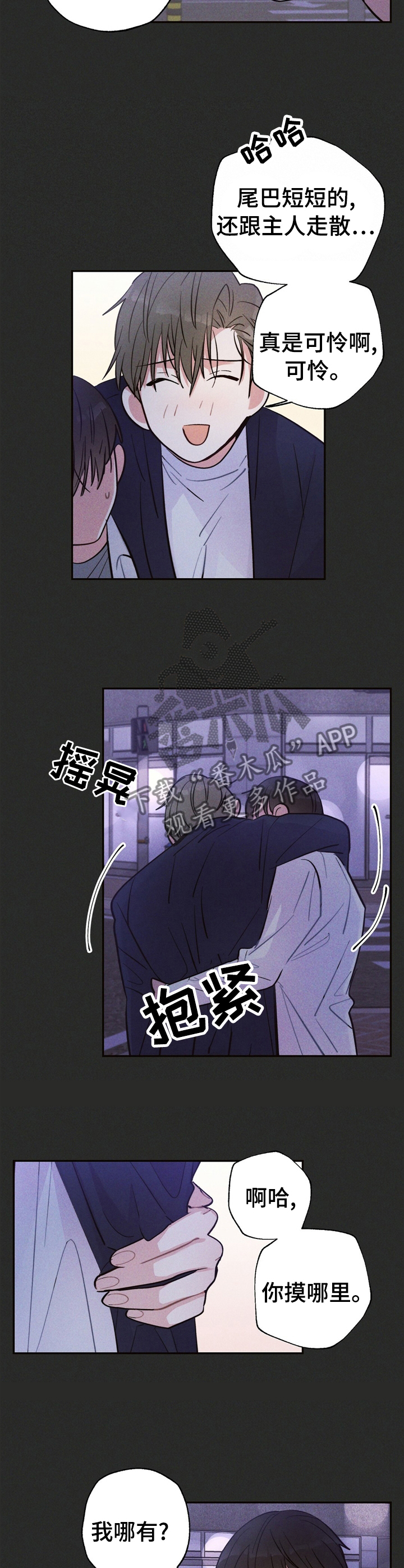 第31章：问题的那天11