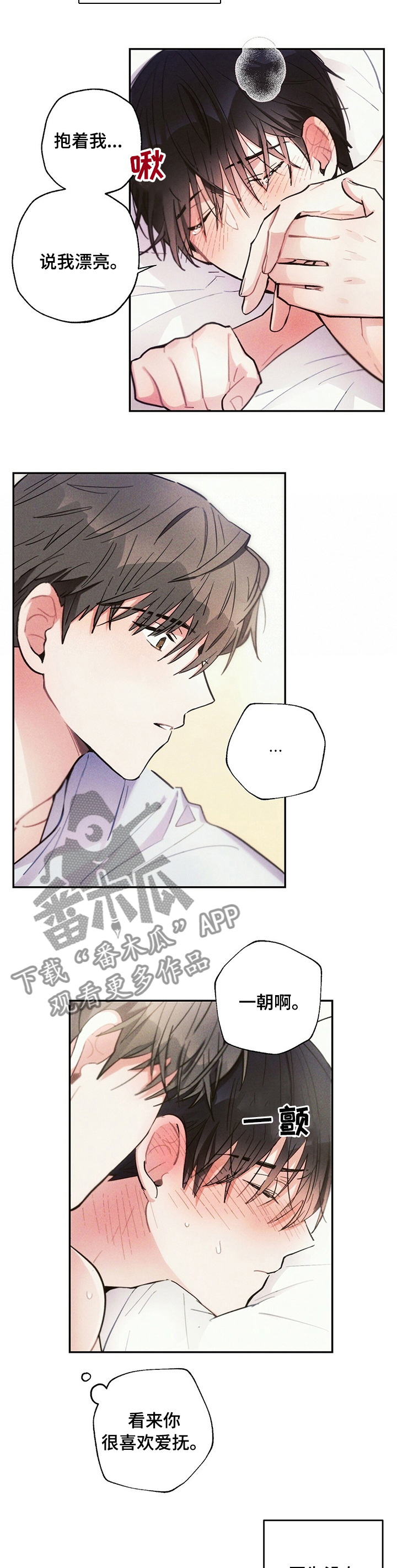 第66章：资本6