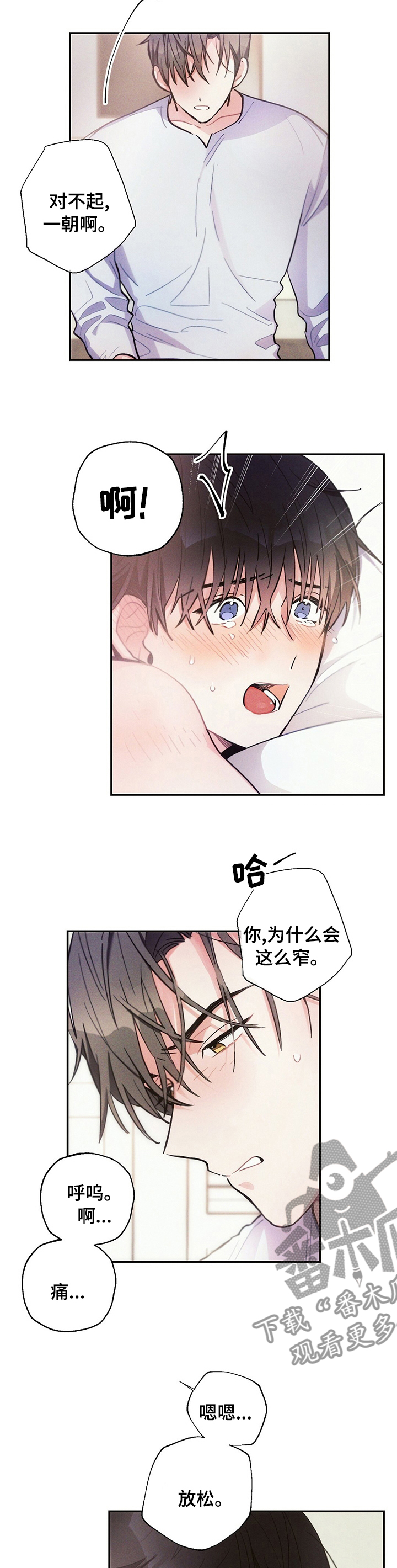 第66章：资本3