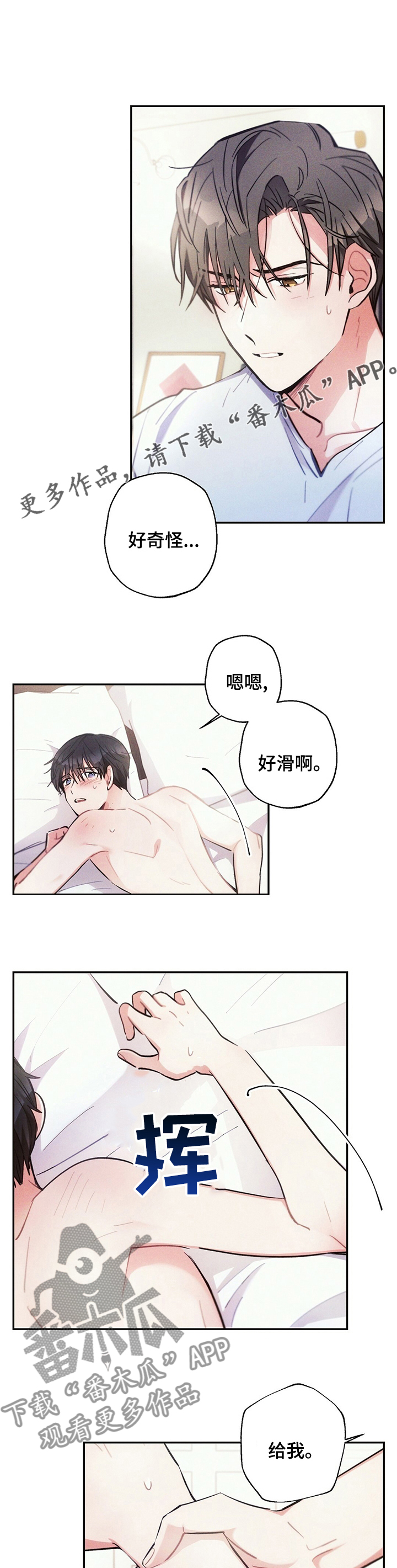 第66章：资本0
