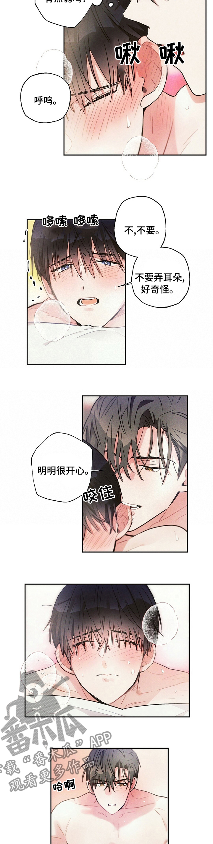 第66章：资本8