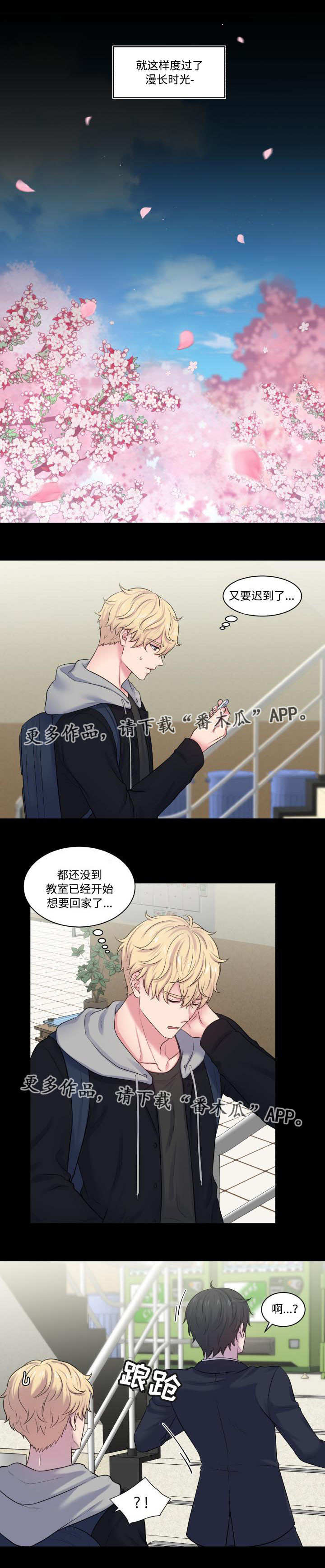第30章：一见钟情6
