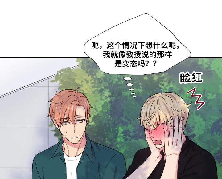第66章：什么答案14