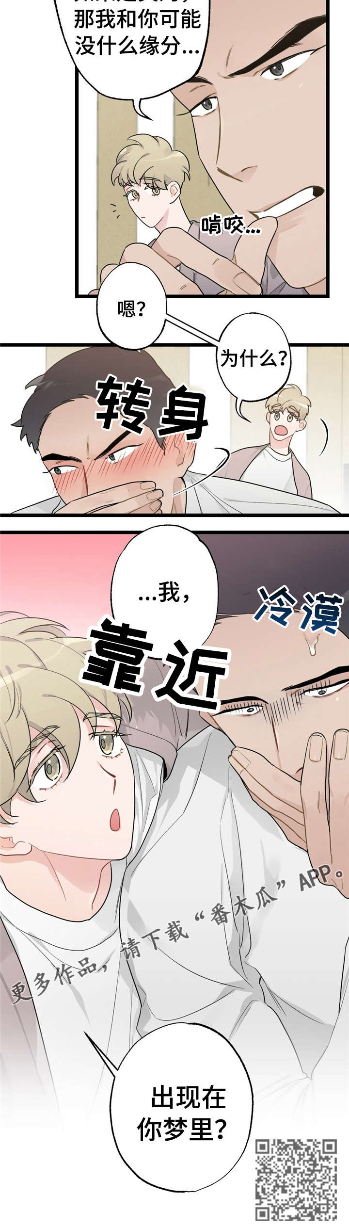 第17章：少年时代的梦境：相亲10