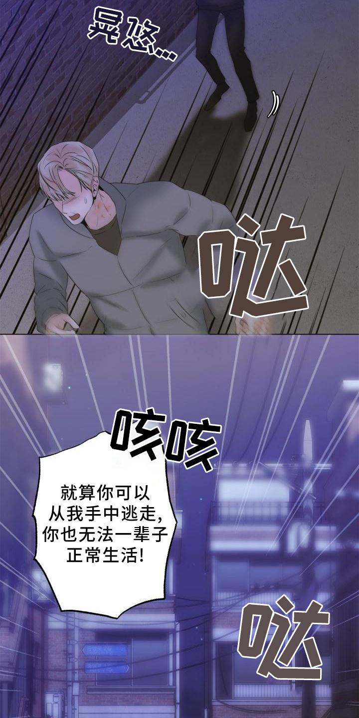 第26章：简单11