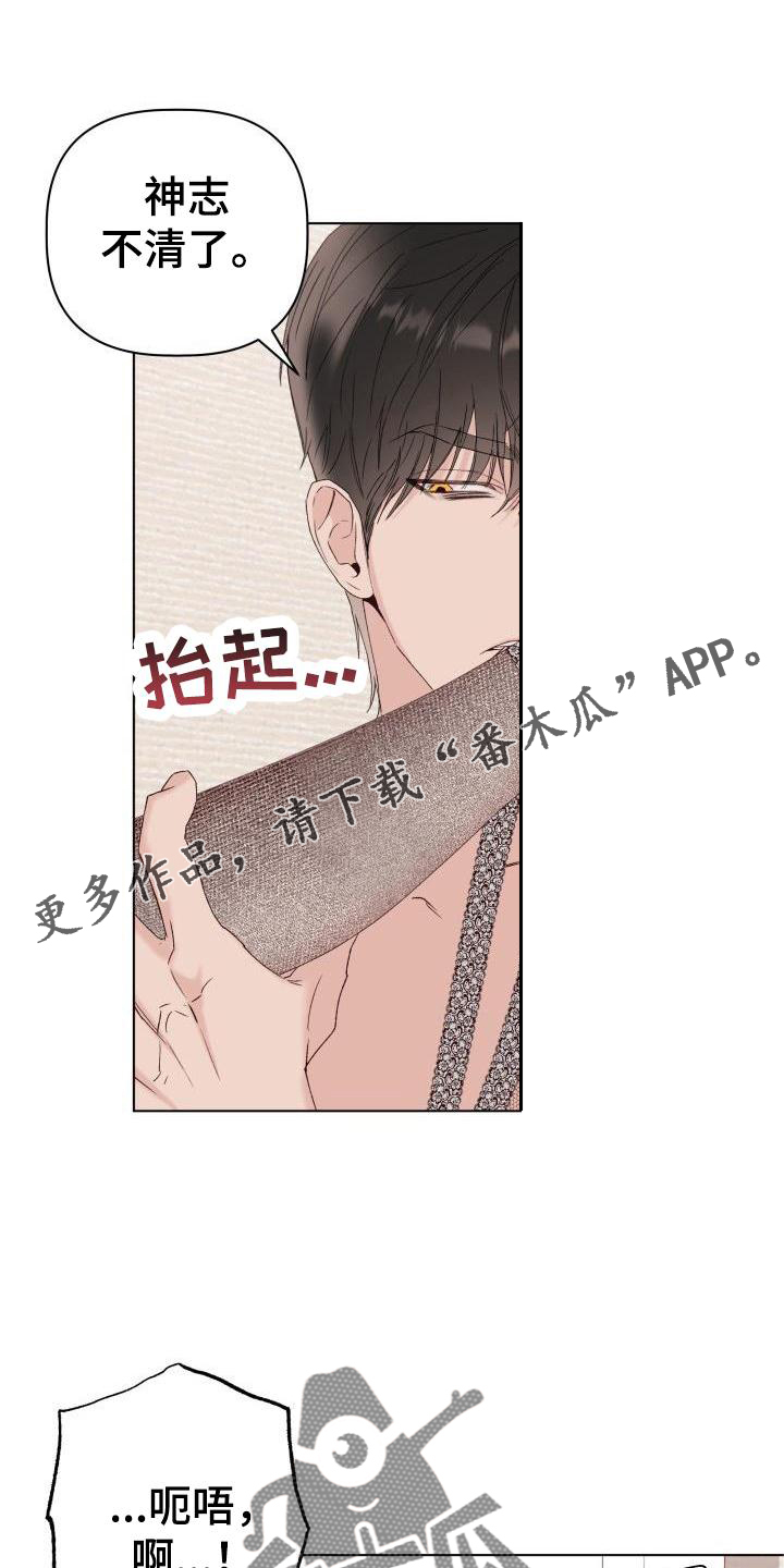 第31章：我爱你11
