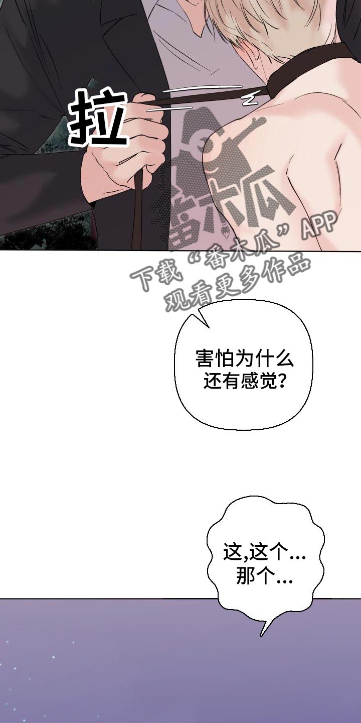 第19章：我害怕17