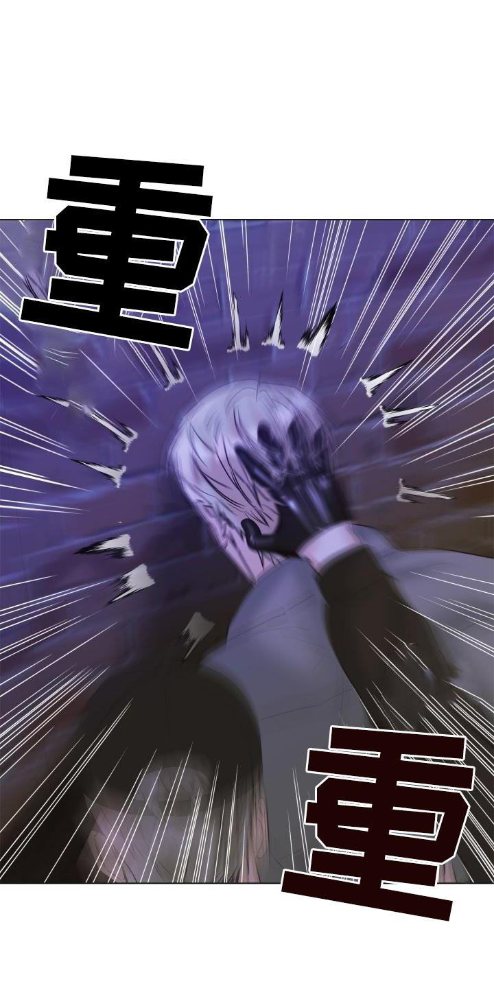 第25章：袭击23