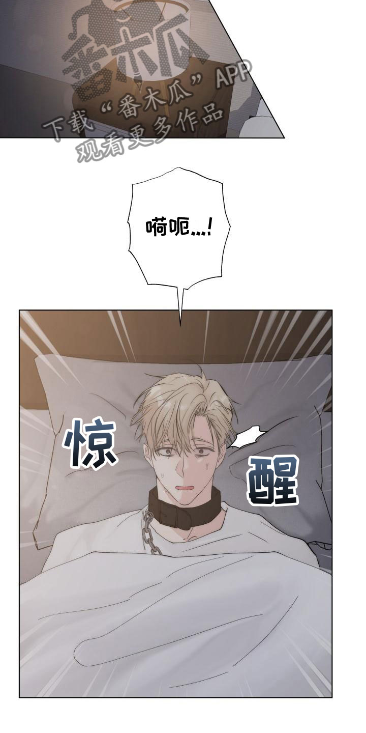 第5章：还记得吗？10