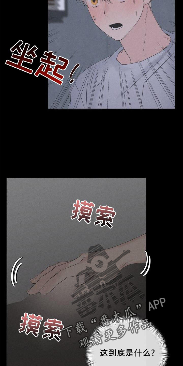 第29章：回忆11