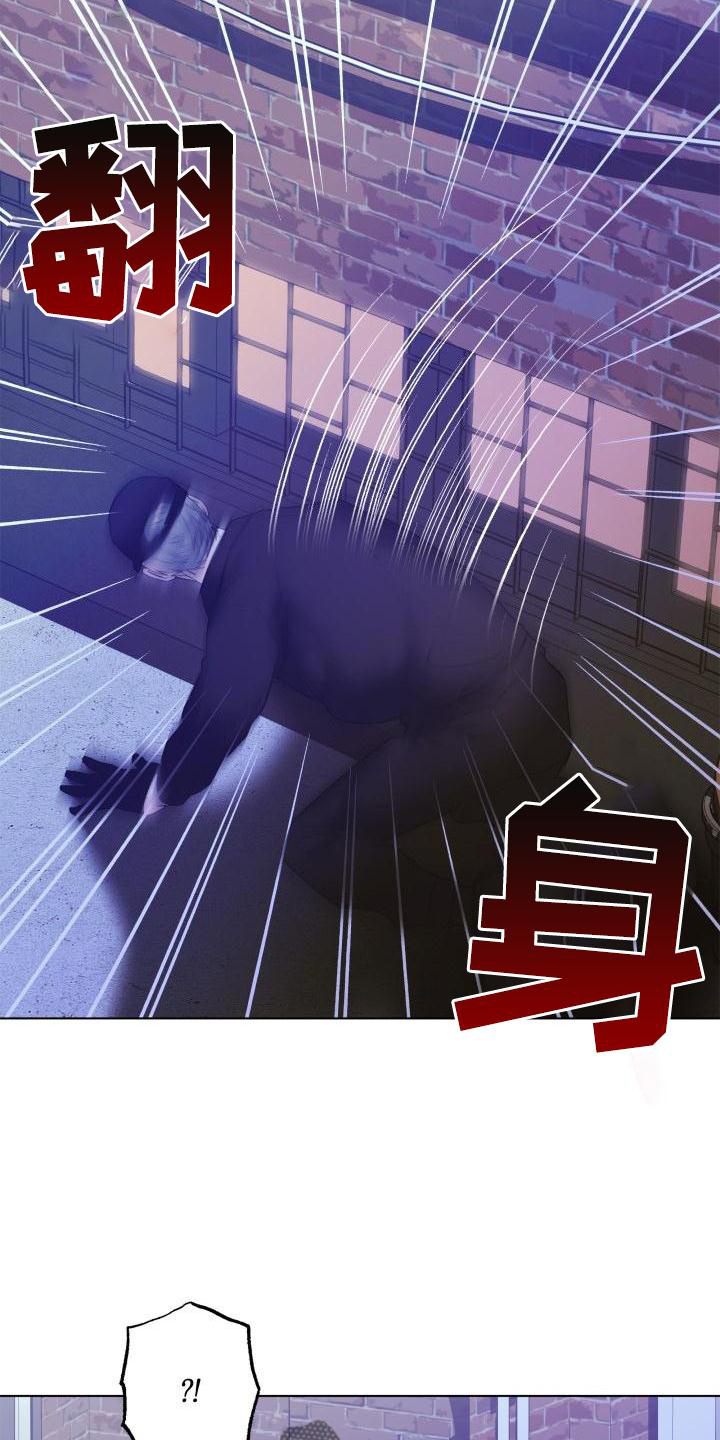 第25章：袭击11