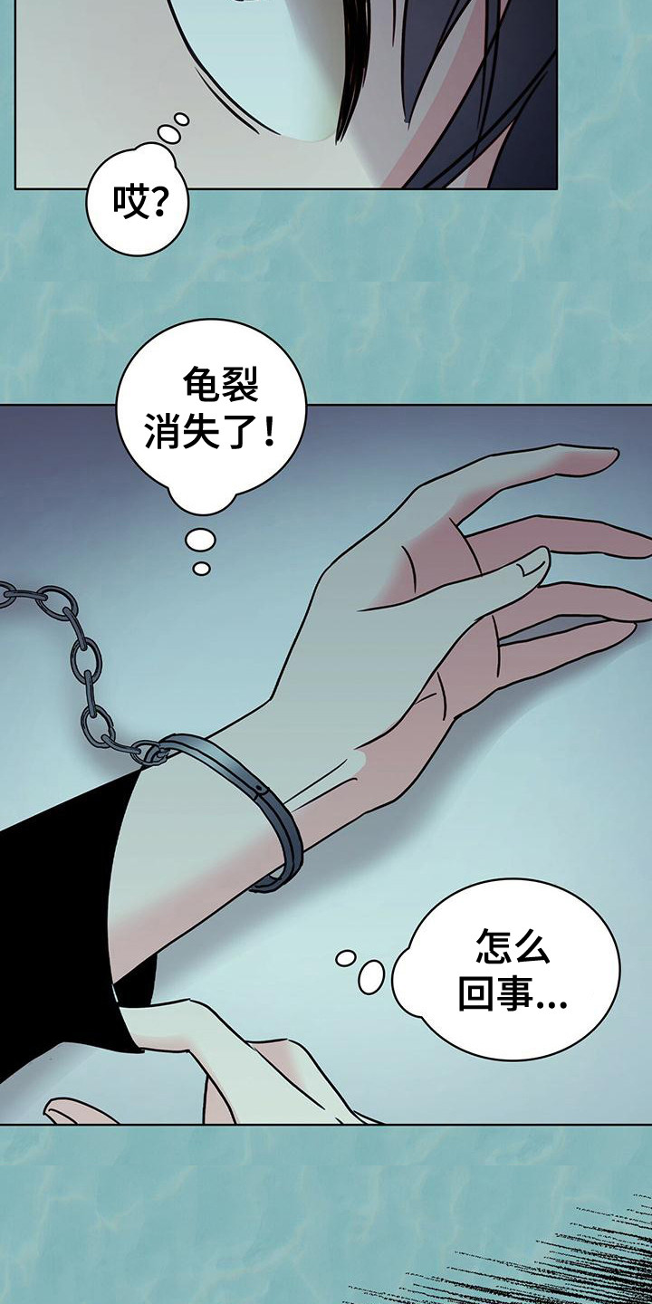 第7章：龟裂消失 9
