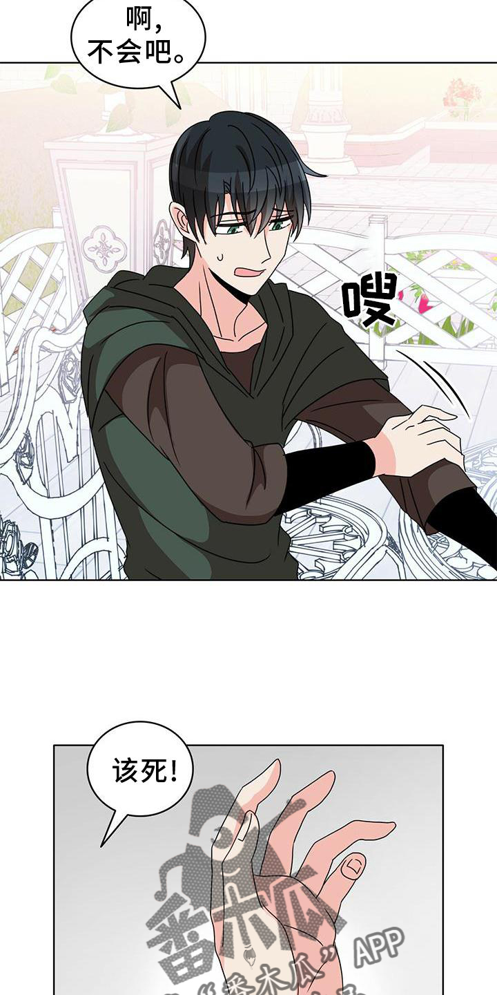 第25章：盘算26