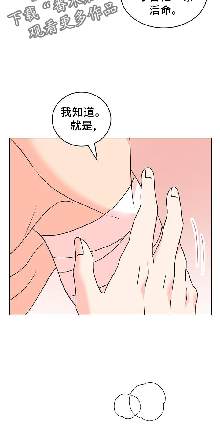 第55章：作用5