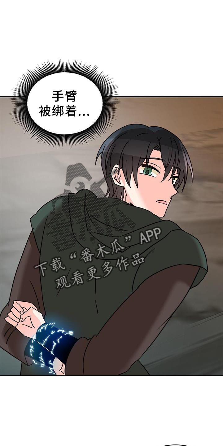 第49章：绑架25