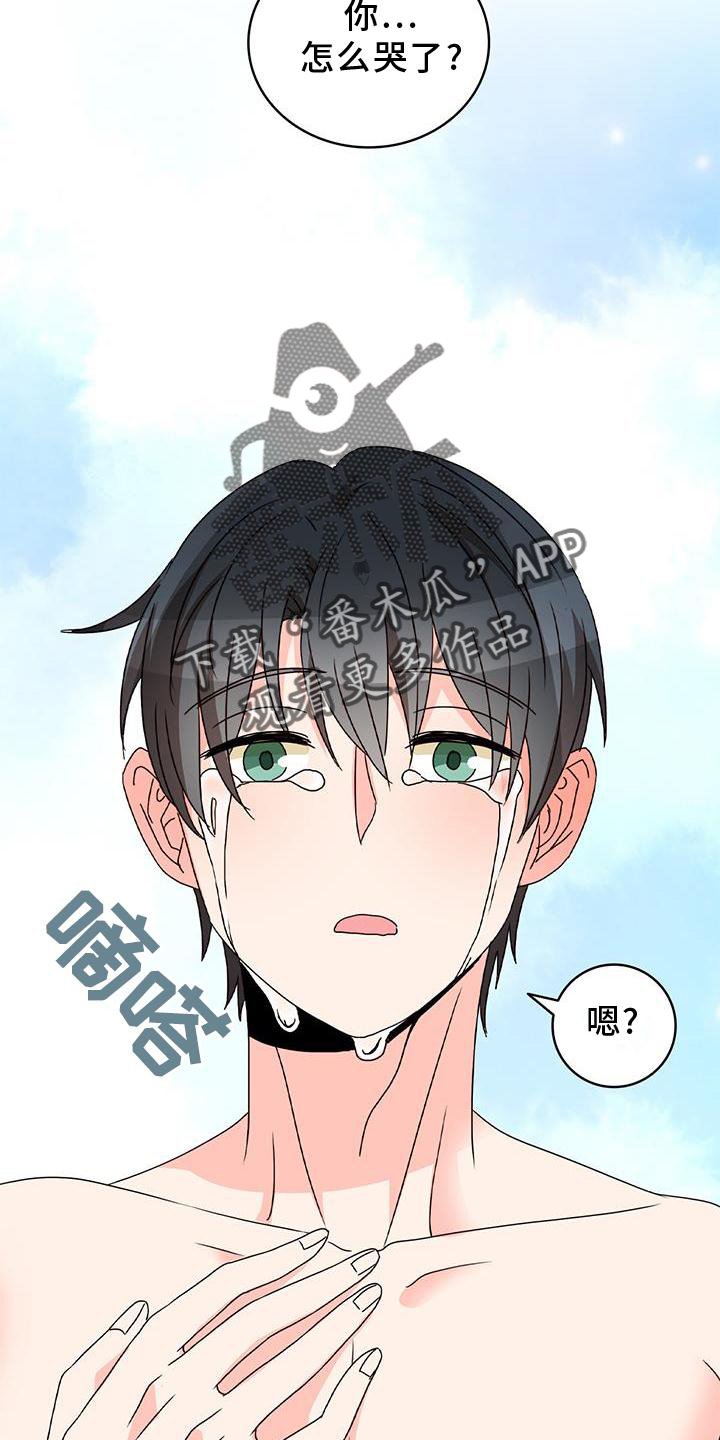 第41章：不正常15