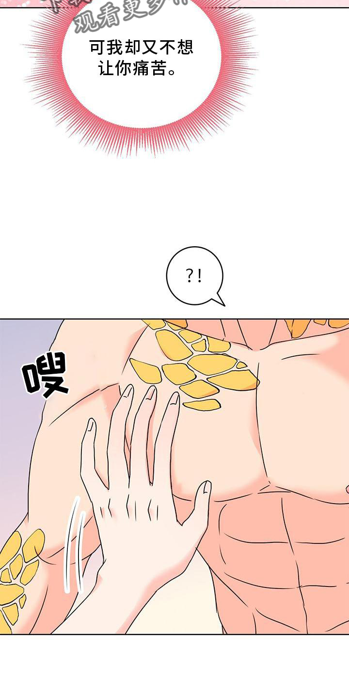 第38章：另一个秘密16