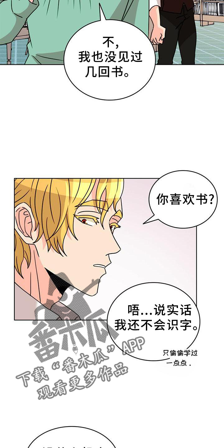 第31章：看书21