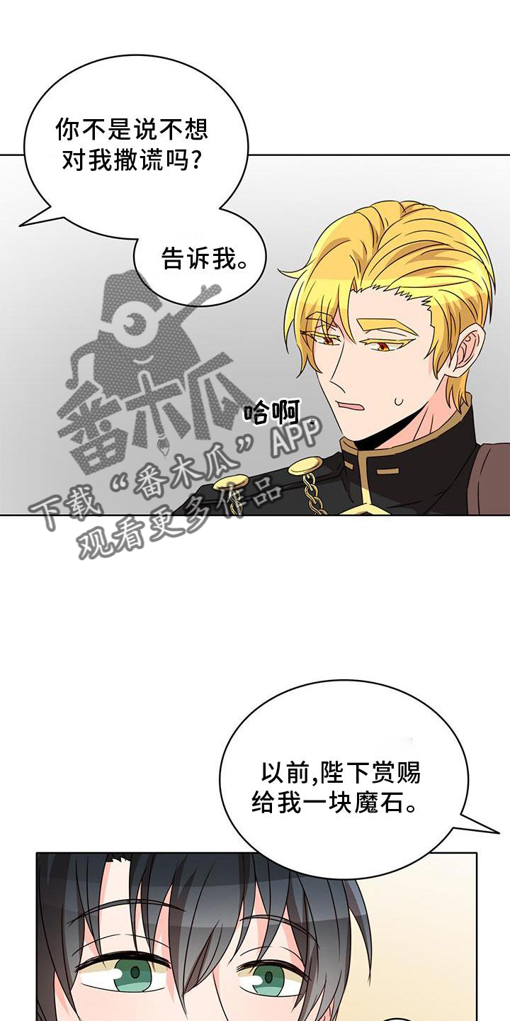 第42章：魔石7