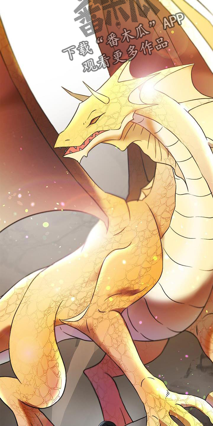 第54章：漂亮20