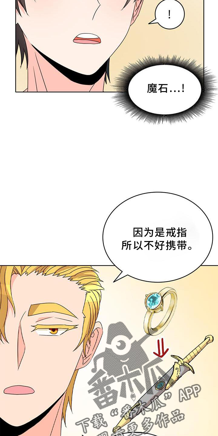 第42章：魔石8