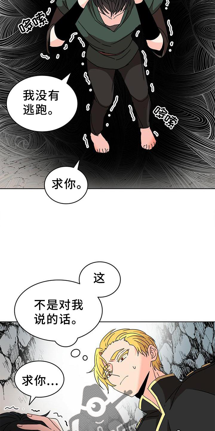 第26章：爱河24
