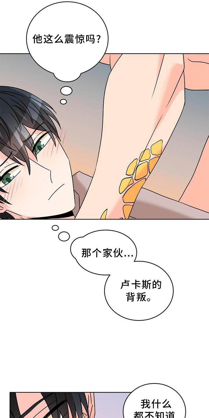 第38章：另一个秘密9