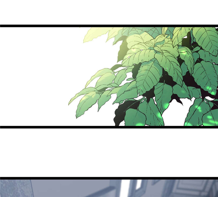第31章：很简单1
