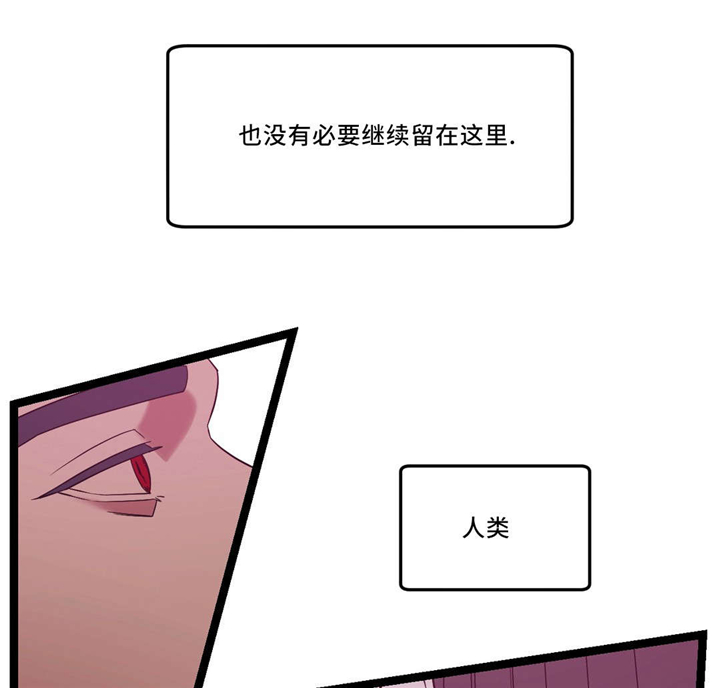 第34章：傻傻的5