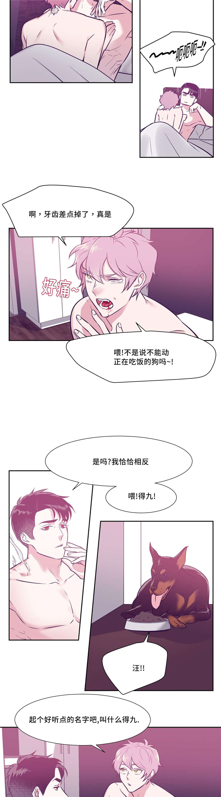 第8章：吸血鬼6