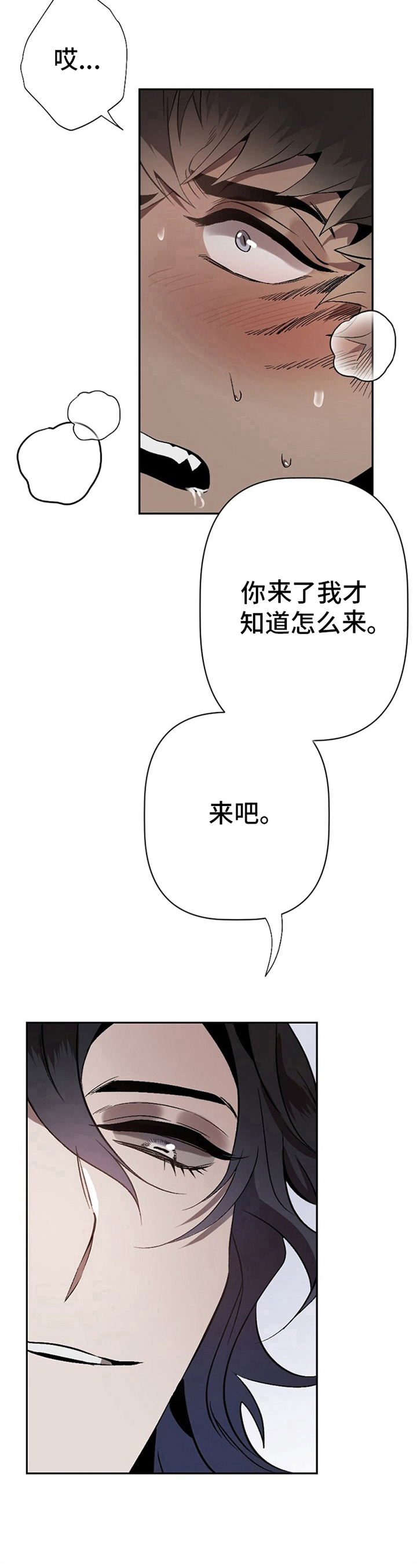 第14章：草食动物的逆袭：逗玩5