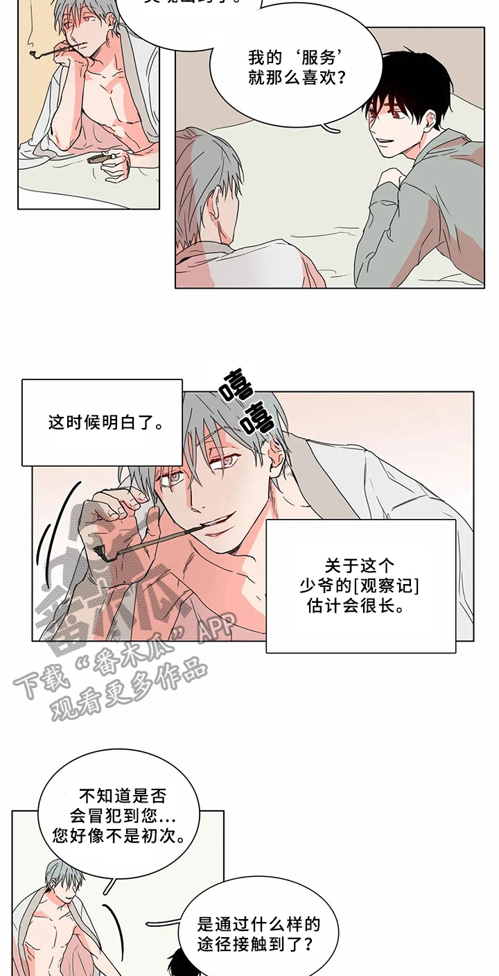第62章：少爷观察记：有趣的事8