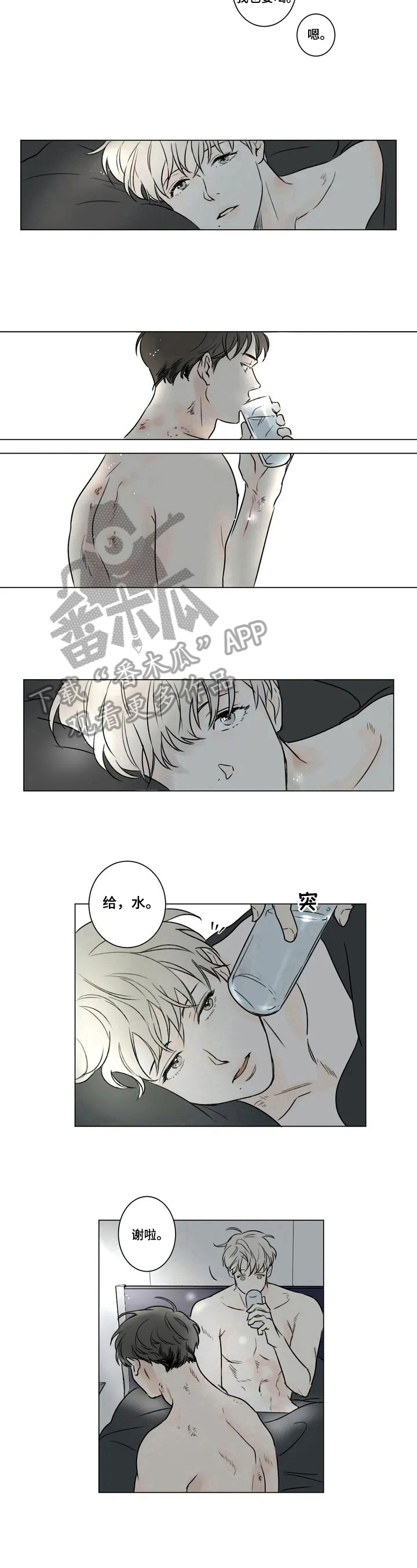 第53章：爱情的凝视：建议6