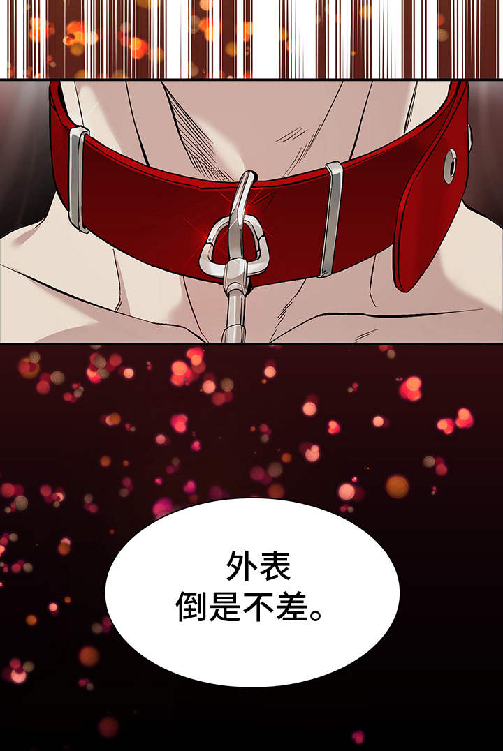 第78章：有效的关系：匹配伴侣6