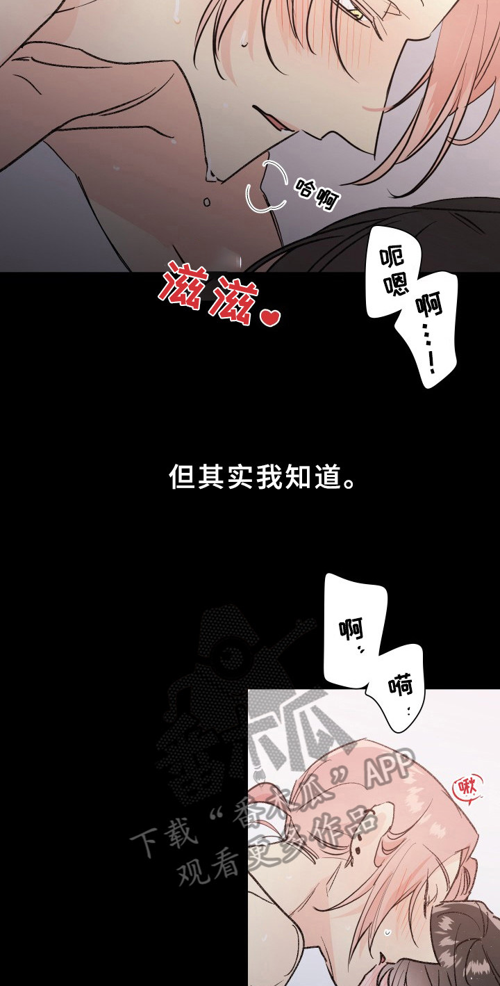 第74章：梅子伙伴：想法8
