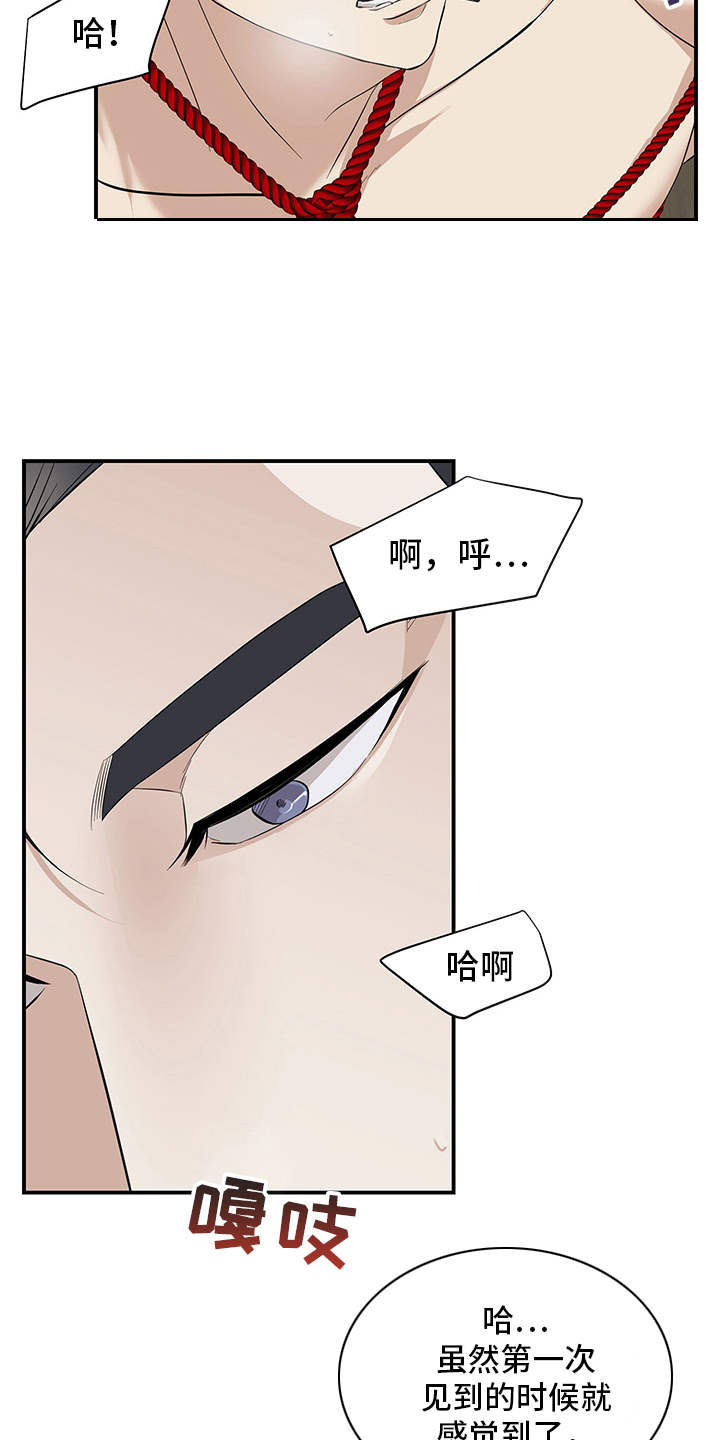 第81章：有效的关系：反客为主5