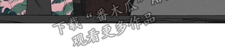 第89章：完美的假期：归程20