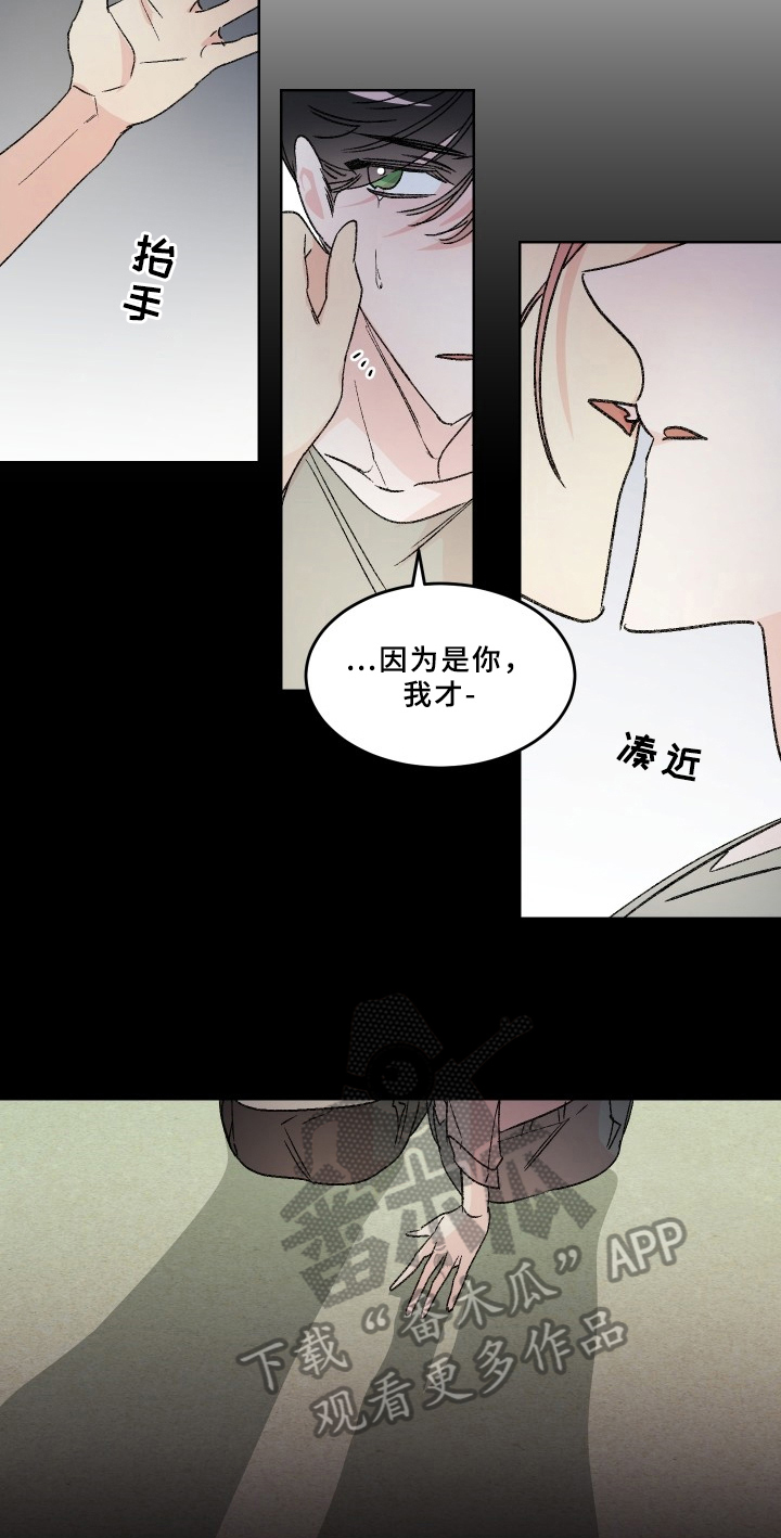 第76章：梅子伙伴：原因9