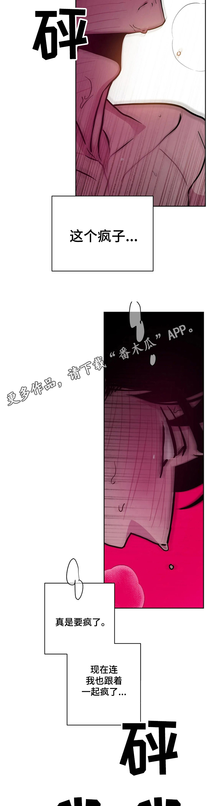 第36章：酒吧轶事：不准动13