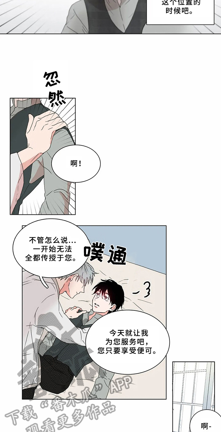 第62章：少爷观察记：有趣的事5