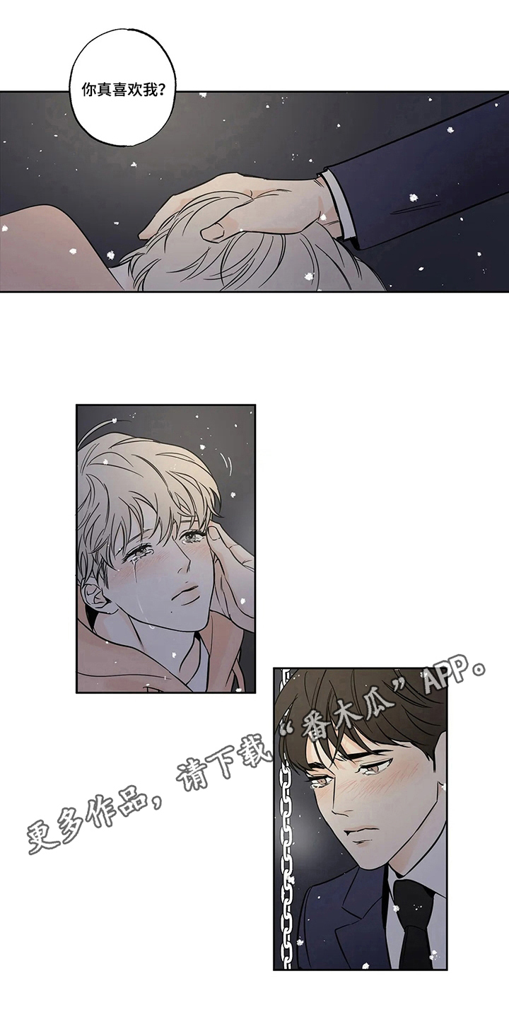 第58章：爱情的凝视：表白6