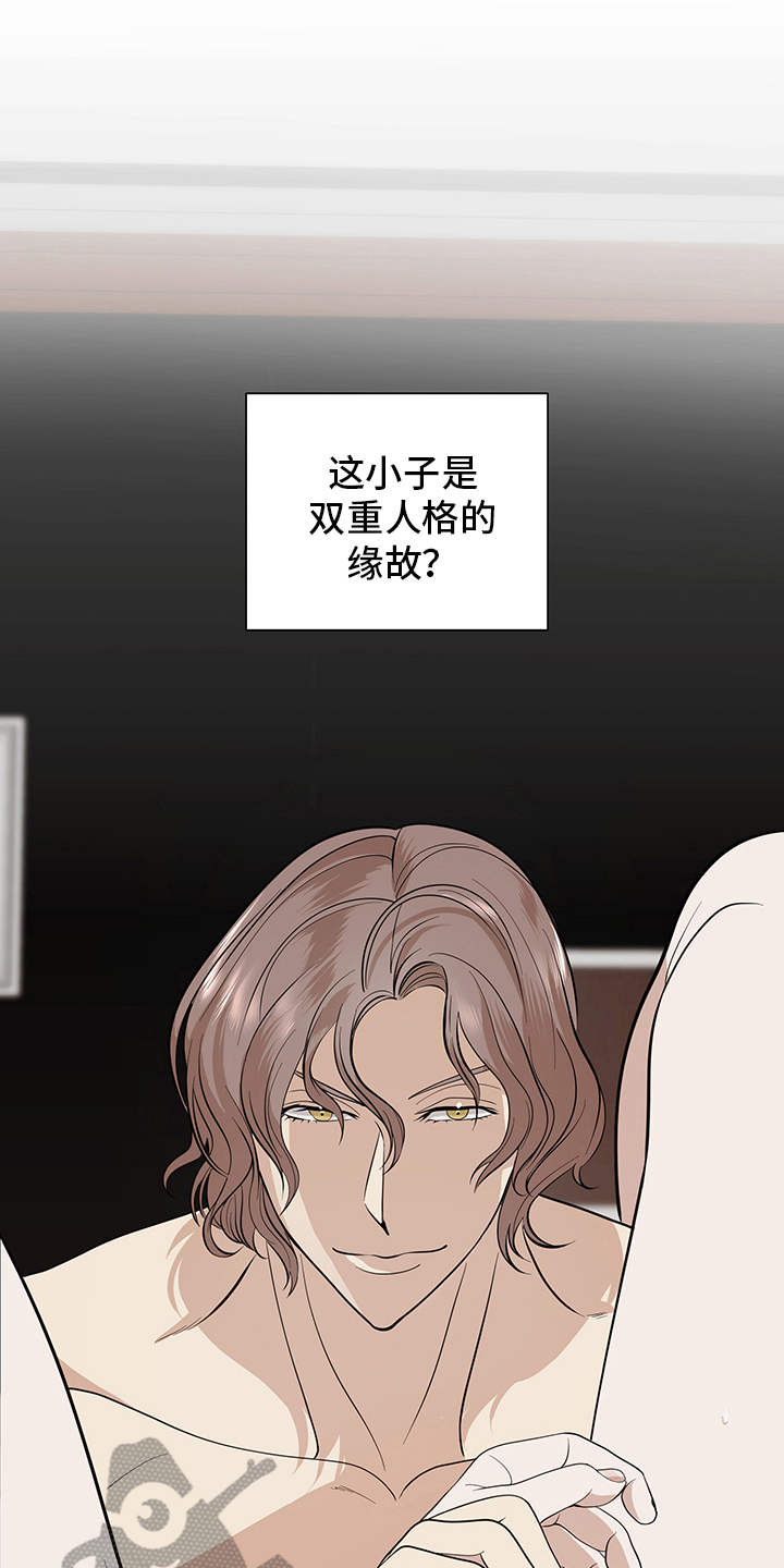第82章：有效的关系：双重人格16