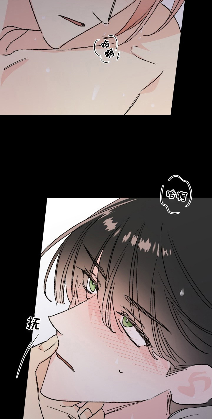 第74章：梅子伙伴：想法15