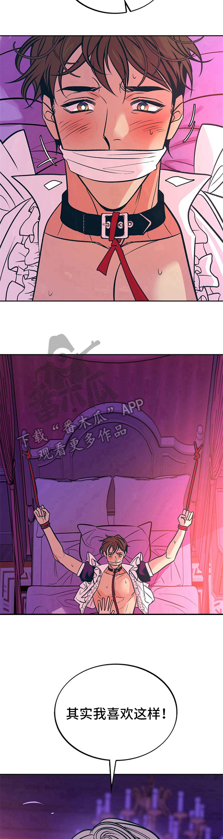 第31章：贵族女仆：美好的结局9