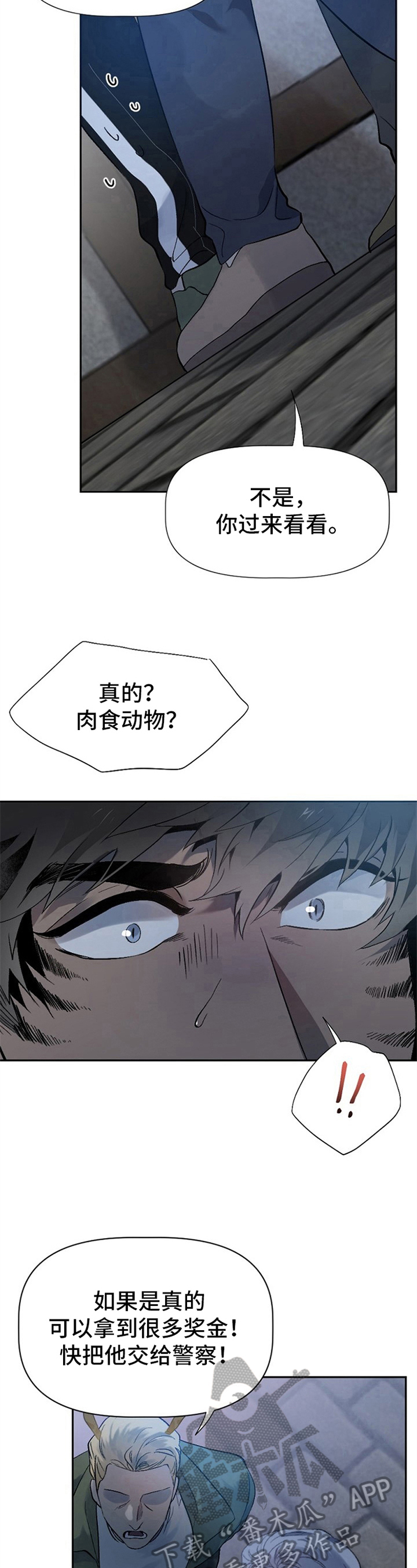 第13章：草食动物的逆袭：关键5