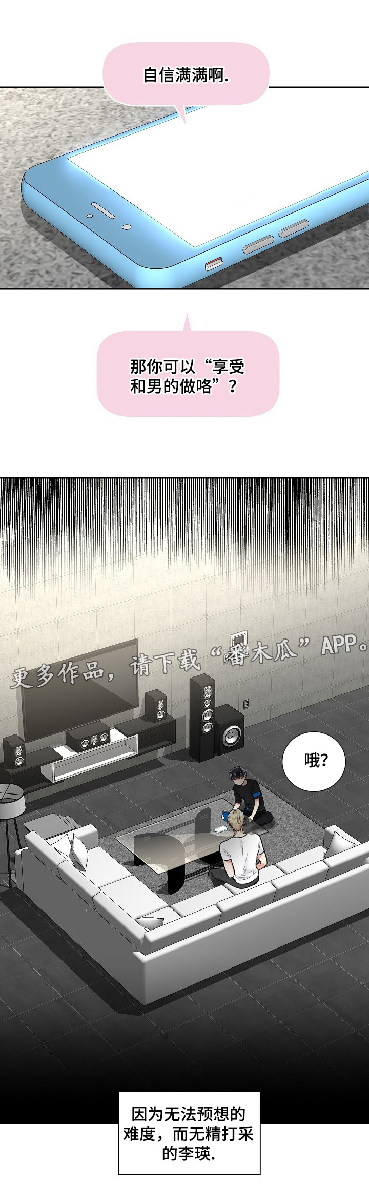 第24章：软件的由来11