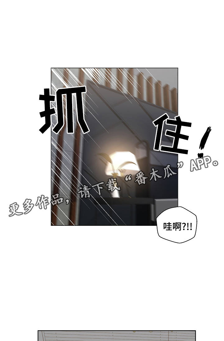 第52章：特殊关系16
