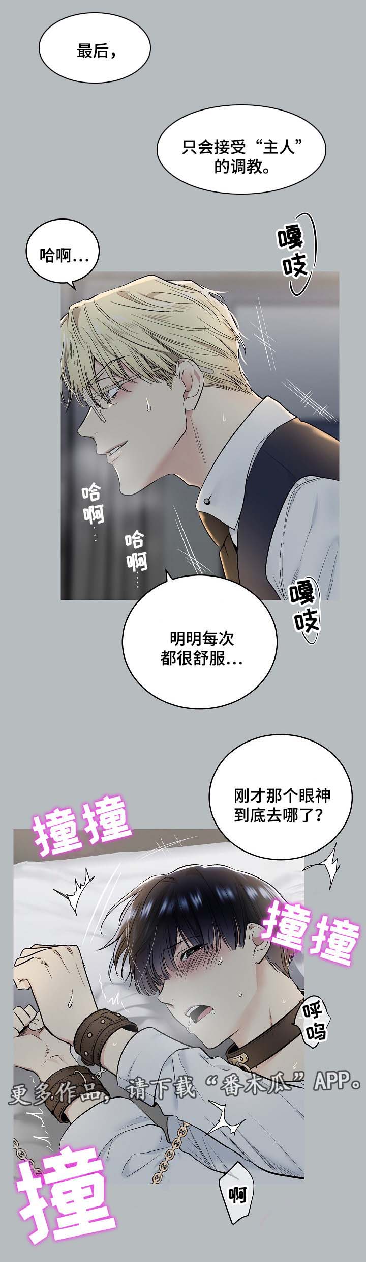 第58章：幻想6