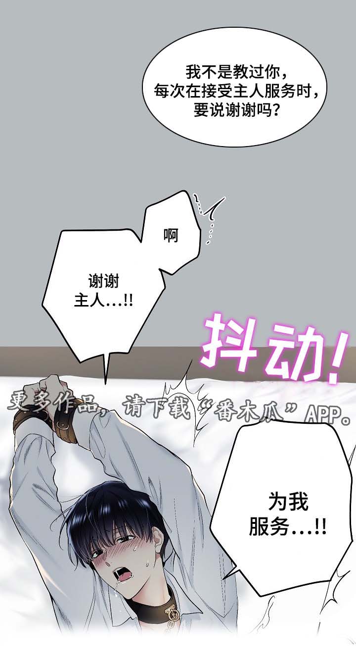 第58章：幻想7